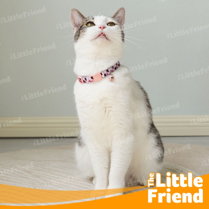 Kalung Collar Bell Anjing Kucing Kitten Kecil Medium INS Simple Pastel