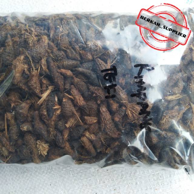 Rimpang Rumput Teki / Umbi Suket Teki / Umbi Manggata