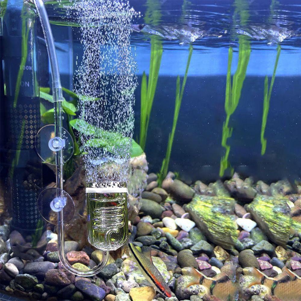 [Elegan] Aerator Pompa Kaca2023Dengan Suction Cup Klip Aquarium Rumah Tangga Reaktor Dioksida