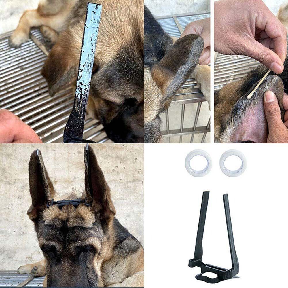 [Elegan] Telinga Anjing Berdiri 1set Adjustable Stiker Samoyed Great Dane Fixed Support Tool Untuk Perlengkapan Hewan Peliharaan Doberman