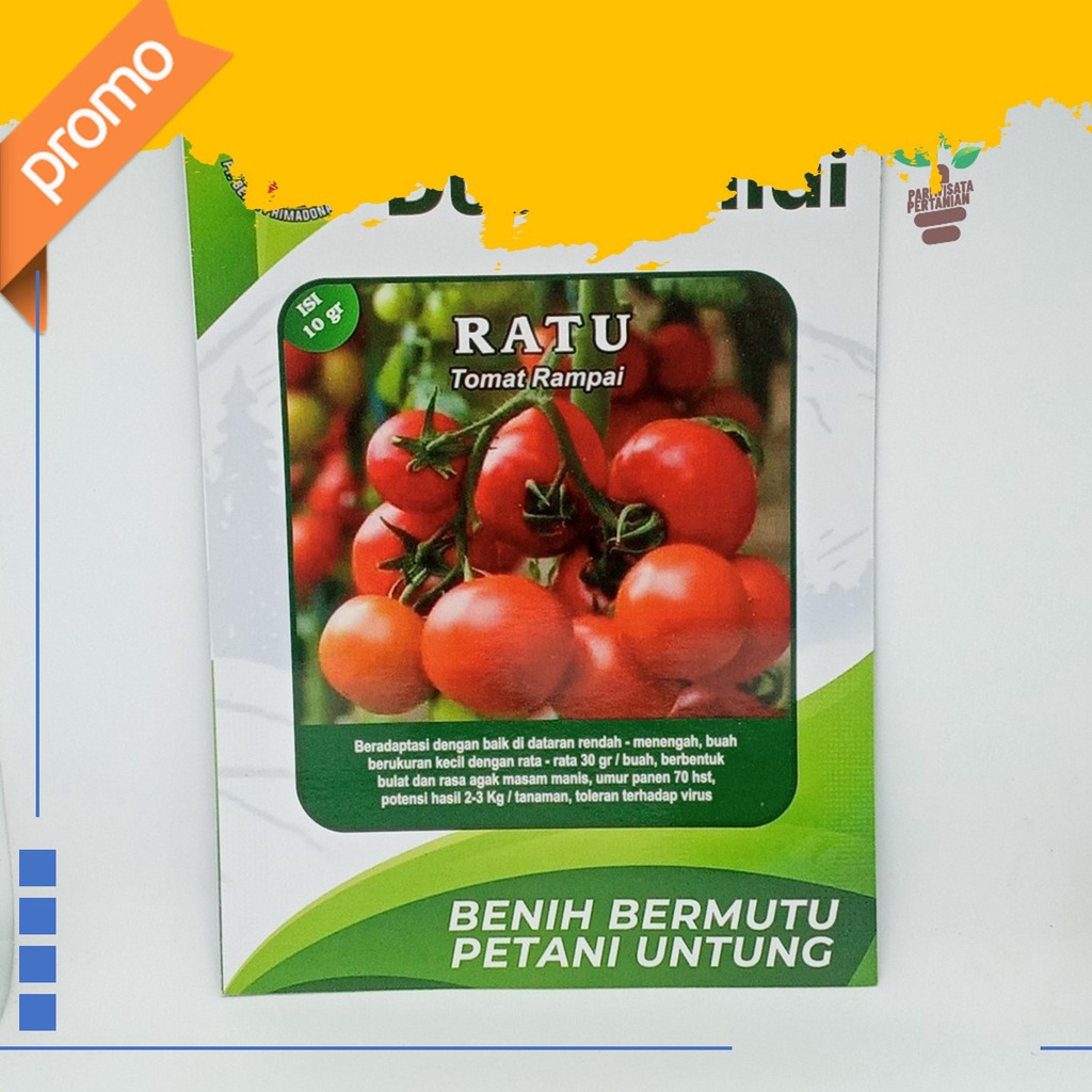 benih tomat Benih Tomat Berkualitas Latansa F1 - Bibit Tanaman Unggul Tomat Berbuah Lebat - Biji Say