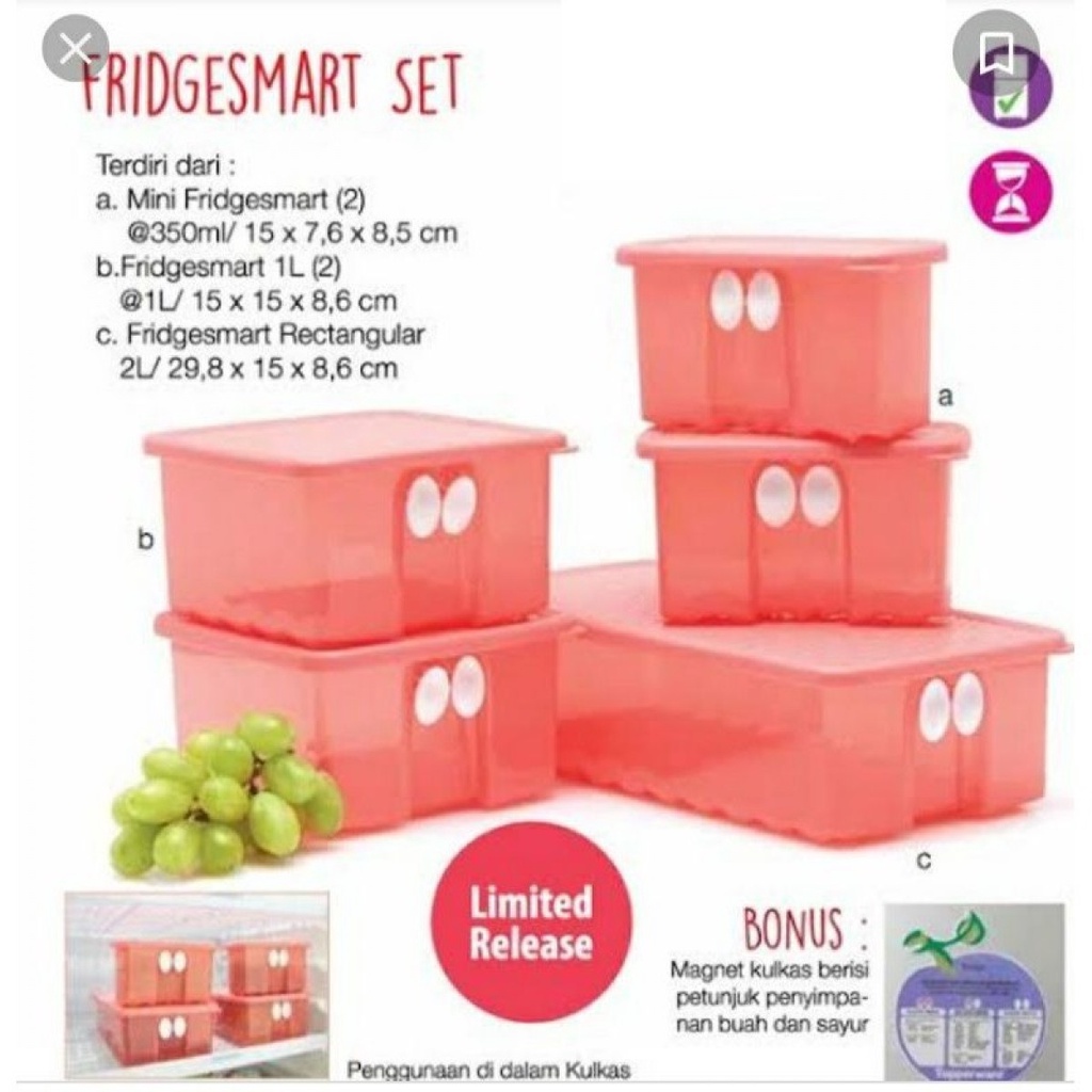 Fridgesmart set guava container kulkas