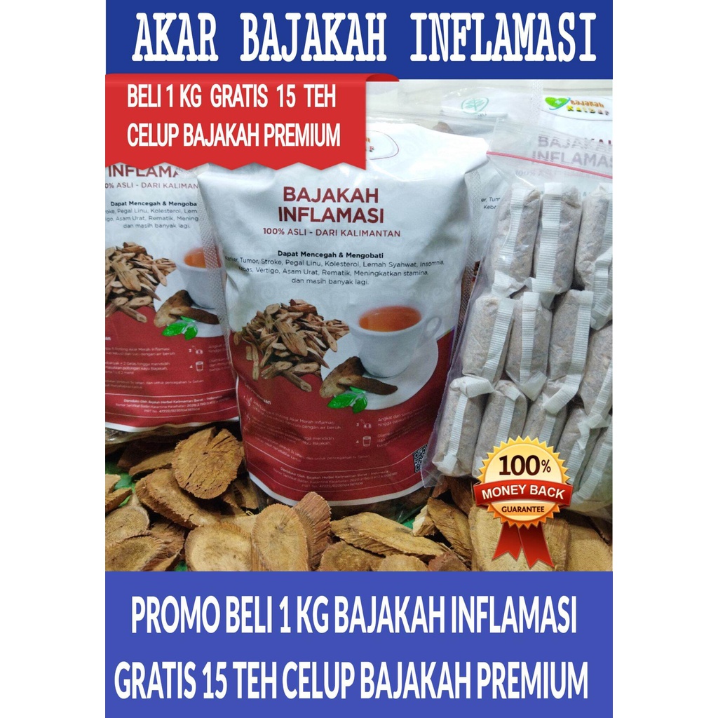 

BAJAKAH INFLAMASI ASLI KALIMANTAN PRODUK 1KG TERMURAH