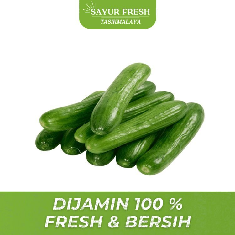 

Sayur Timun Jepang - SAYUR FRESH TASIKMALAYA