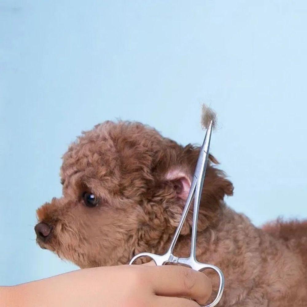 REBUY Rebuy Dog Grooming Gunting 12.5 cm Praktis Tidak Karat Lurus/ Ujung Lengkung Tahan Lama Aksesoris Hewan Peliharaan Cat Surgical Forceps