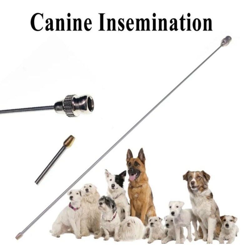 GUN IB jarum panjang inseminasi buatan kawin suntik kucing anggora anjing kelinci