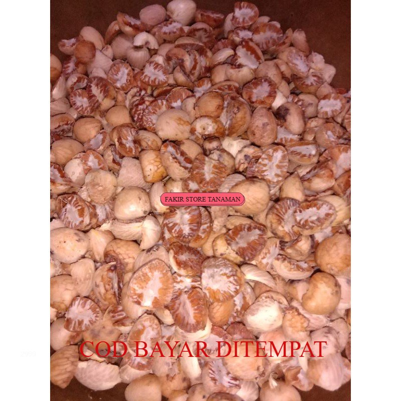 

TERBAIK buah pinang kering 1 kg REDY LANGSUNG KIRIM