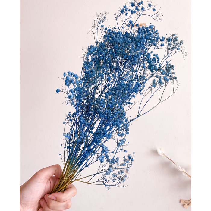 Big Sale Dried Babybreath in Blue Series/ Bunga babybreath kering biru - Midnight Blue