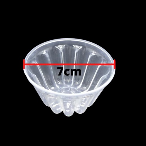 Cetakan Puding Plastik Jelly Coklat GreenLeaf 0951 Cetakan Agar Agar Kecil 24 Pcs