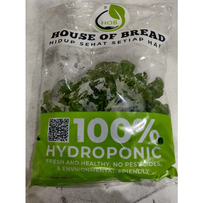 

Bayam Brazil Hydroponic
