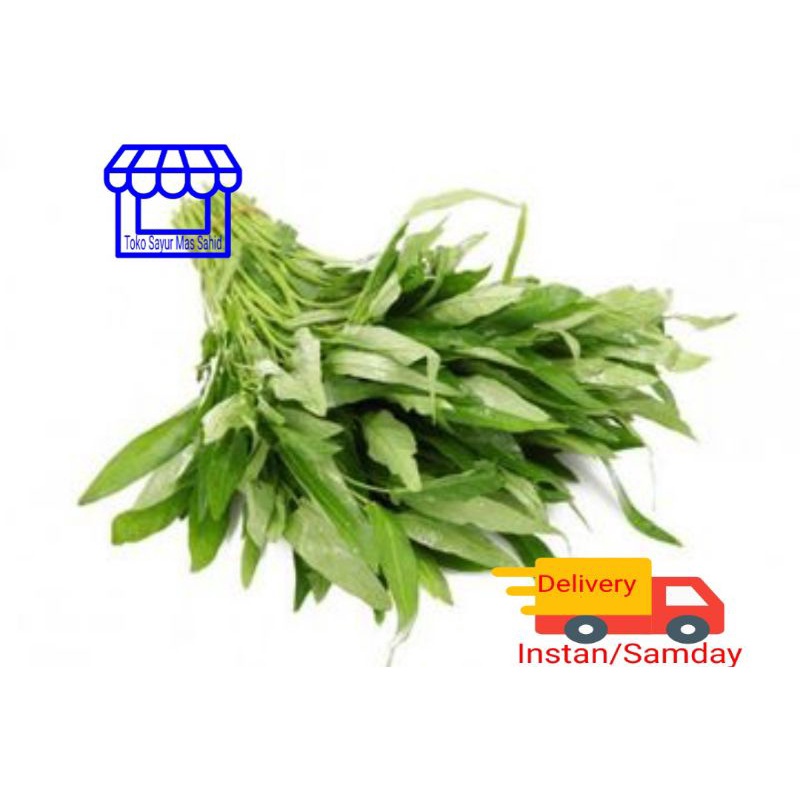 

INSTAN Sayur Kangkung Segar