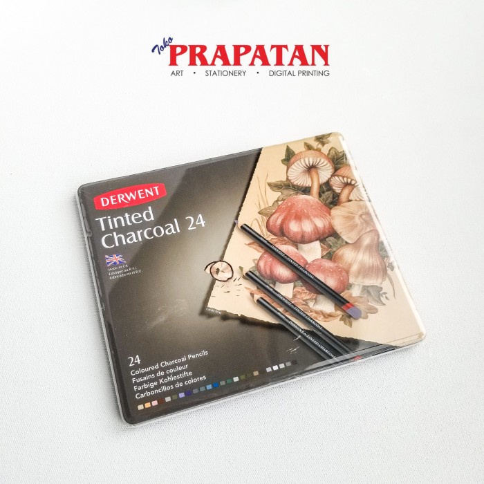 

Derwent Tinted Charcoal 24 Colour / Coloured Charcoal Pencils Metal Ti