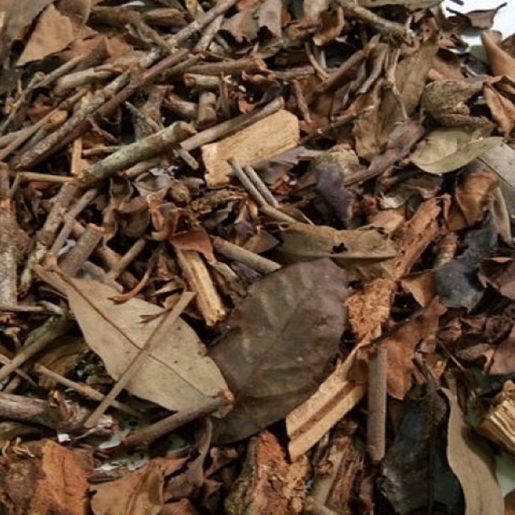 

Daun Benalu Teh Kering Rempah Jamu Herbal Tradisional Anti Kanker