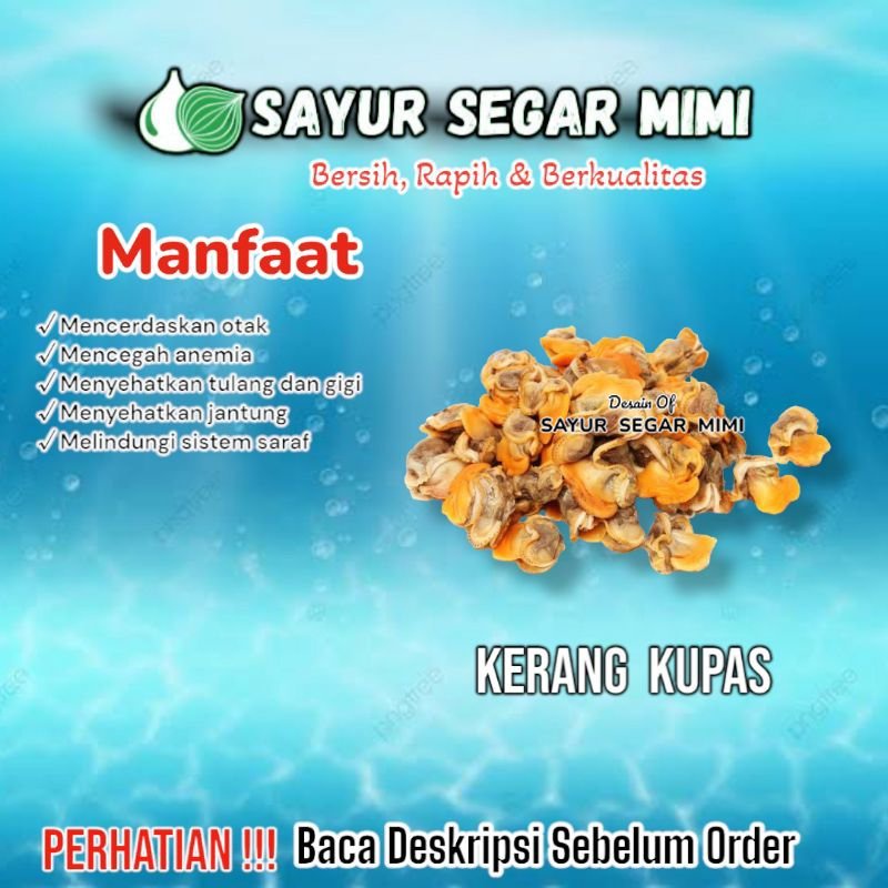 

Kerang Kupas - Sᴀʏᴜʀ Sᴇɢᴀʀ ♏ɪᴍɪ
