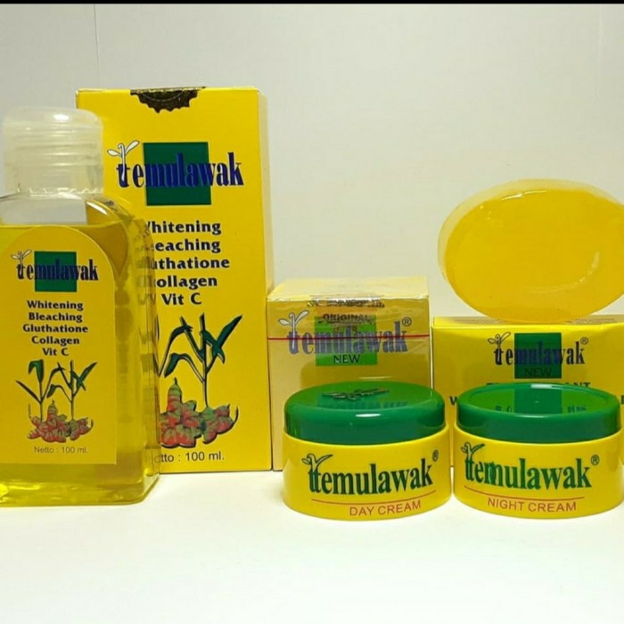 Paket 3 in 1 Face Temulawak Bpom Original