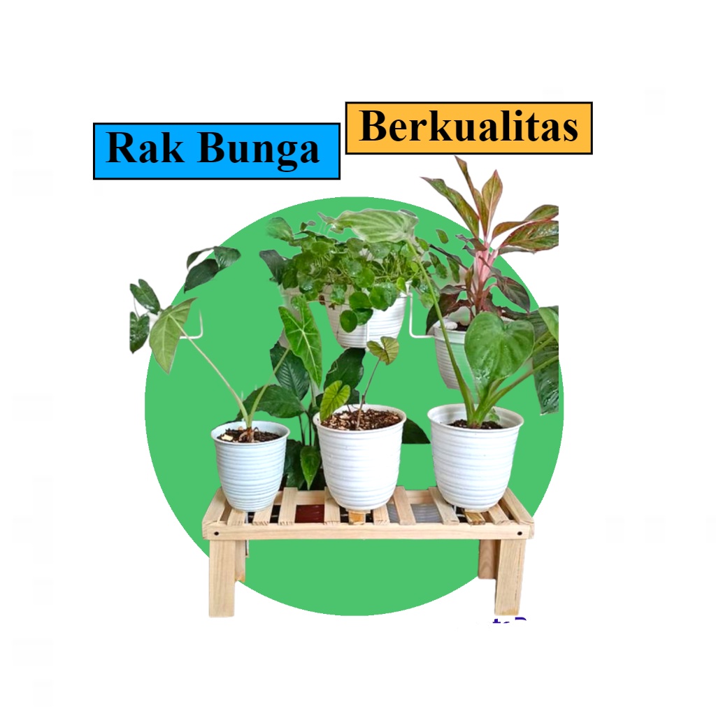 Standing pot bunga kayu jati belanda / STANDING POT / rak tanaman