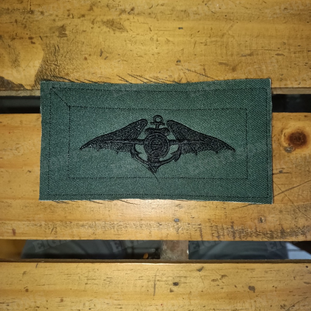 Brevet Brivet Wing PDL Scuba PDL