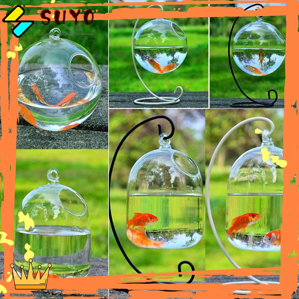 Suyo Hanging Glass Fish Bowl Kaca Transparan Kerajinan Dekorasi Aquarium Hiasan Dinding Dekorasi Rumah Dengan Rak Holder Fish Bowl