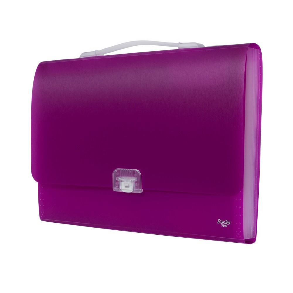 

[Artomas] Bantex Expanding File With Handle Folio Lilac 3603 21