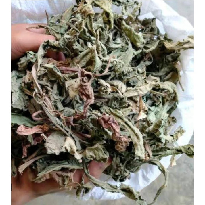 

Daun Tapak Liman Kering 200 Gram Obat Tradisional Siap Konsumsi