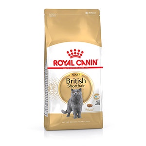 Royal Canin British Shorthair Adult 4 kg - Makanan Kucing Dewasa - PSID26