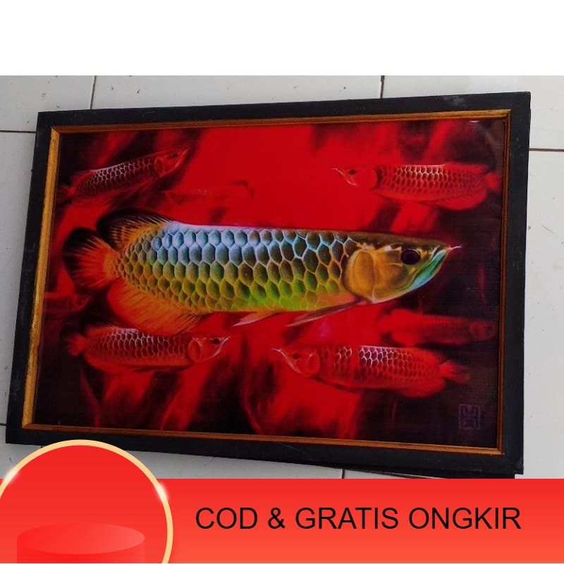 Lukisan murah poster murah hiasan dinding gambar ikan arwana golden plus bingkai ukuran 100 x 50