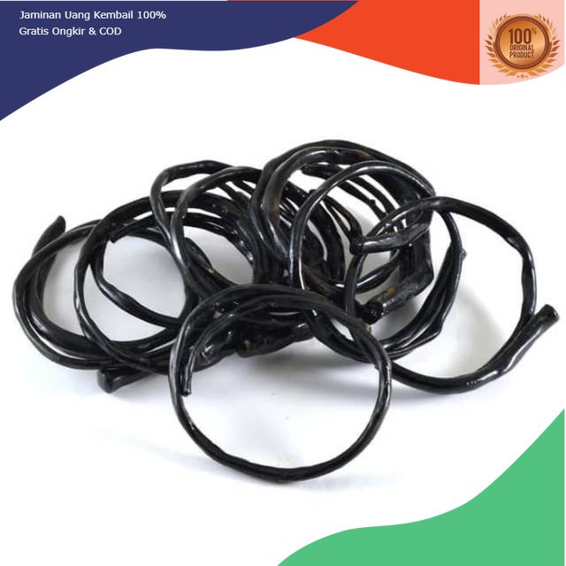 Gelang Akar Bahar minimalis  Asli dari alam size kantor