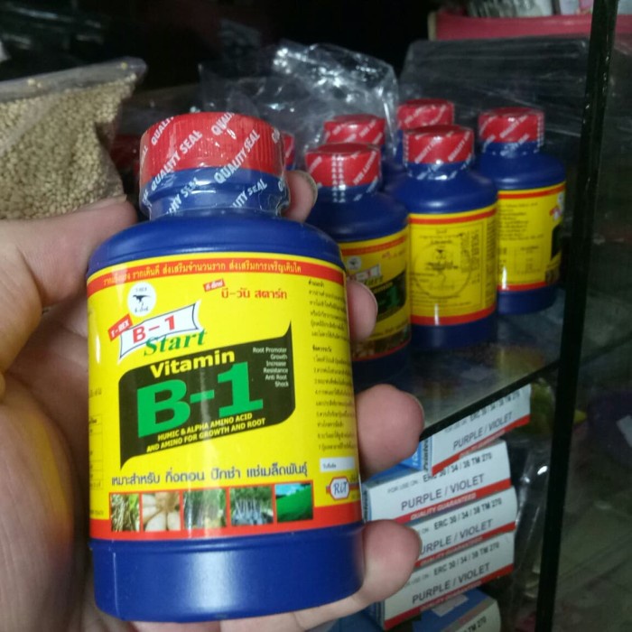 pupuk b1 thailand 100 ml, pupuk akar, antri stres tanaman