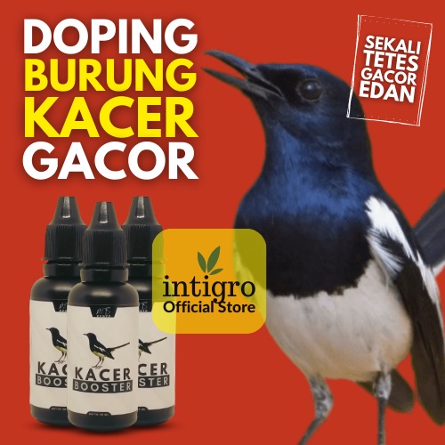 Vitamin Burung Kacer Biar Gacor / Doping Burung Kacer Konslet / Vitamin Burung Kacer Onplay _ Green 