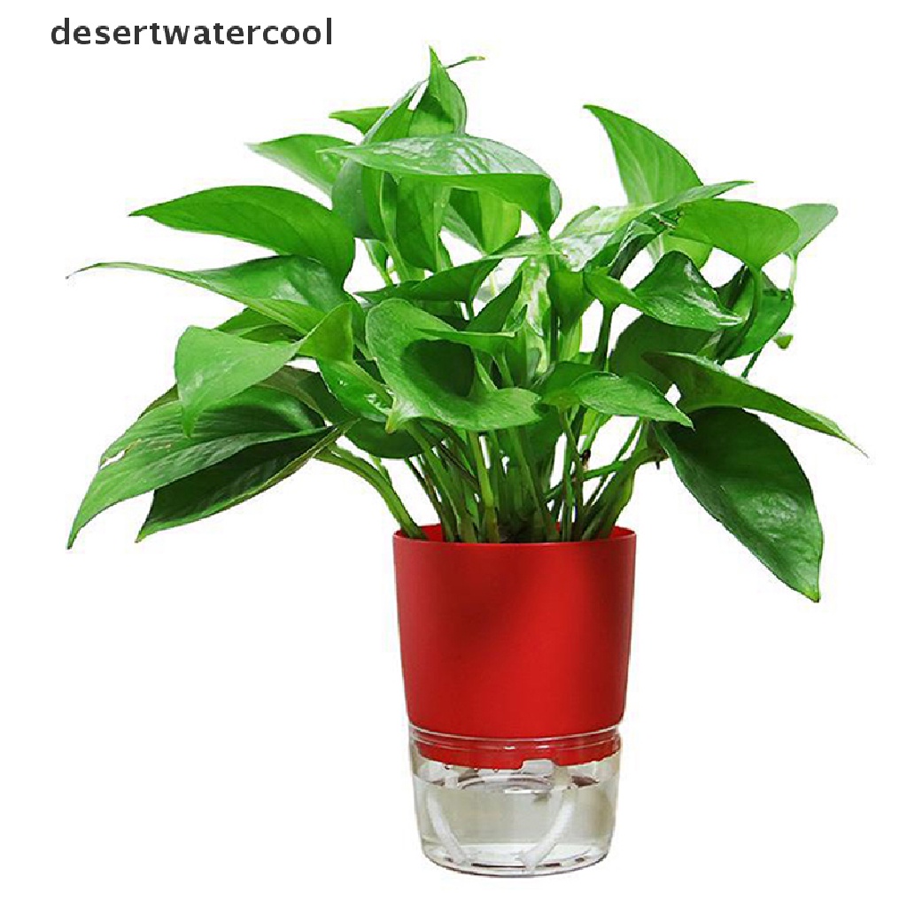 Deid 1Pc Pot Tanaman Self Watering Plastik Bening Double-Layer Penyimpanan Air Pot Bunga Martijn