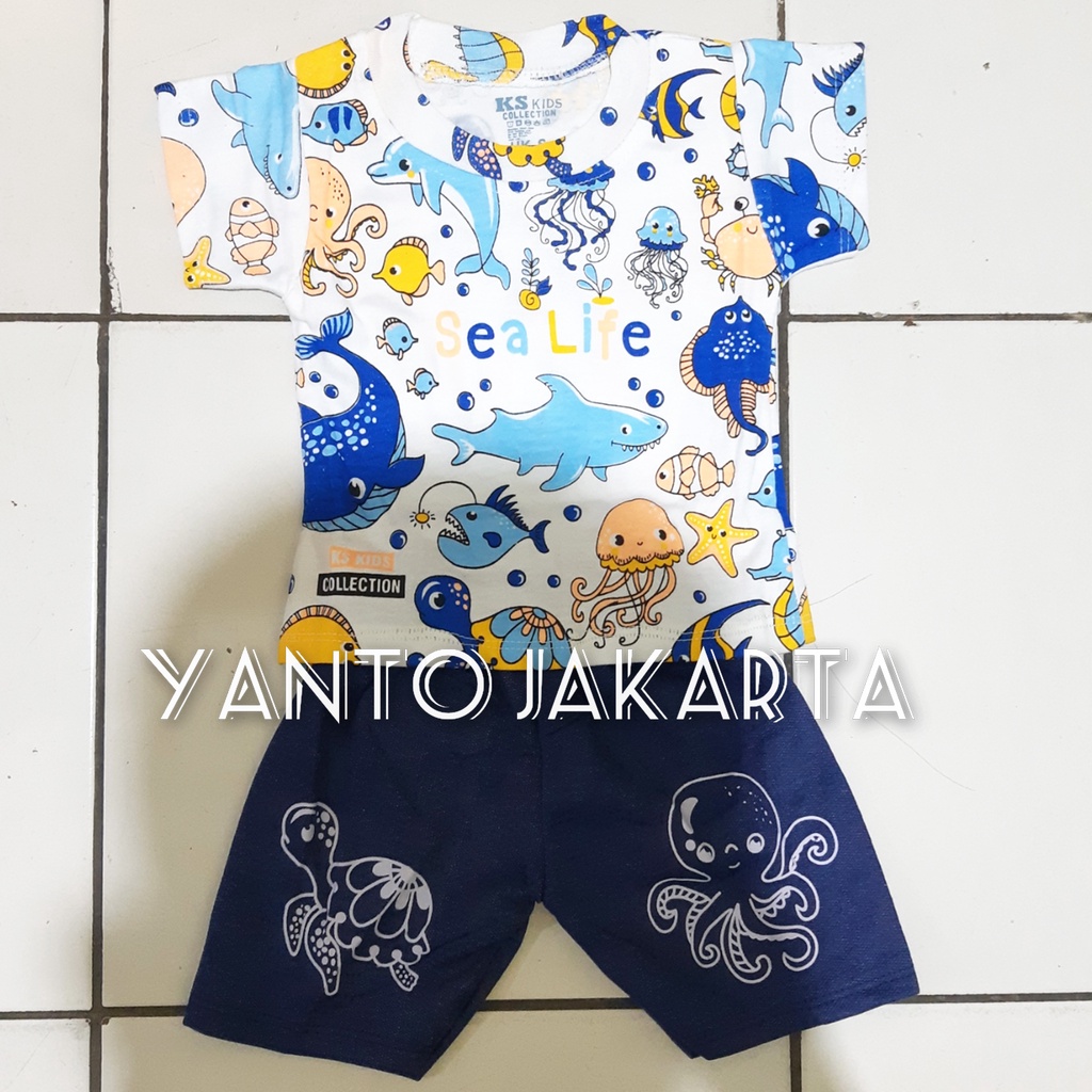 BAJU ANAK LAKI LAKI SETELAN HEWAN LAUT 1-2 TAHUN