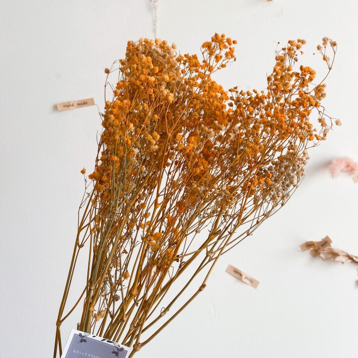 Big Sale Dried Babybreath in orange/ bunga babybreath kering oren