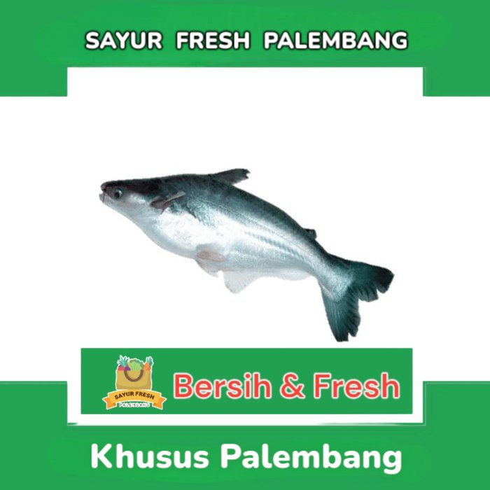 

Ikan Patin - Sayur Fresh Pasar Perum