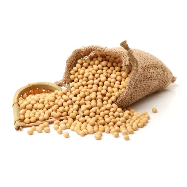 

FCW Jakbar - Kacang Kedelai 250 Gram