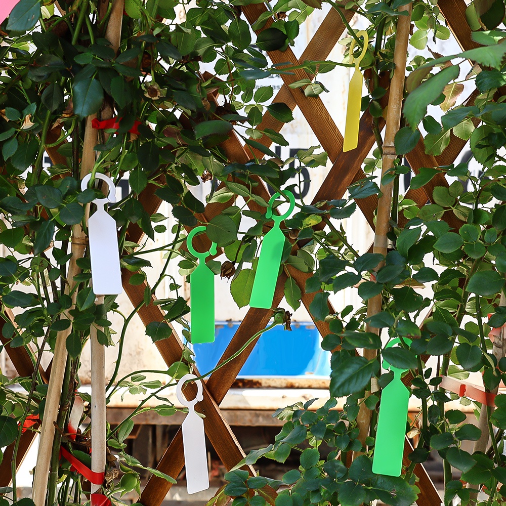 100pcs Label Ring plastik tebal / bibit, bunga, melon dan buah kartu tanda klasifikasi / anti air perlindungan matahari pot tanaman daftar pohon / aksesoris berkebun