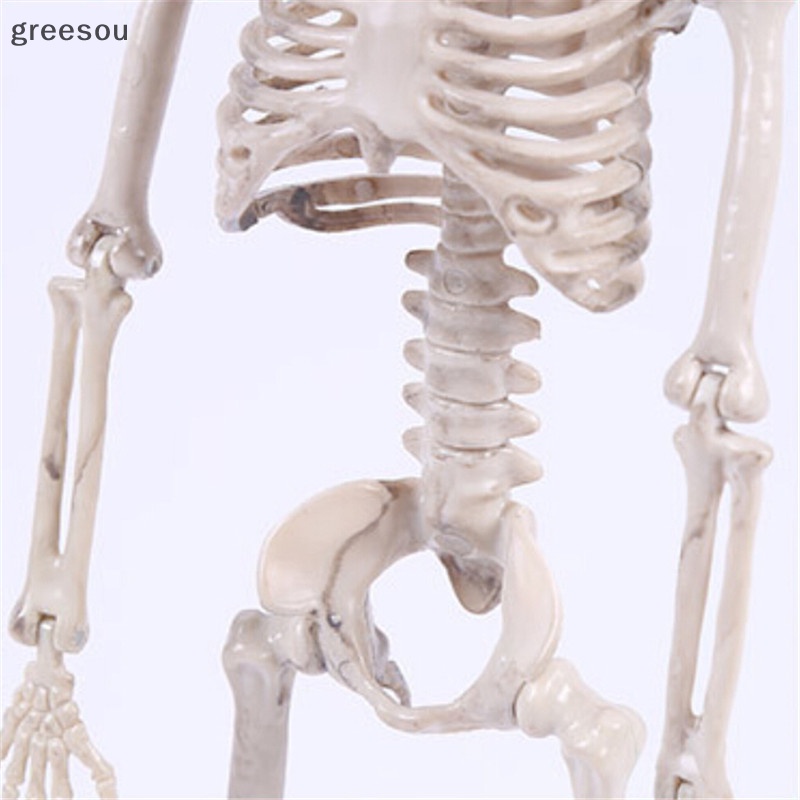 Greesou Posable Skeleton Halloween Decor Mengerikan Tulang Pria Merayap Dekorasi Pesta ID