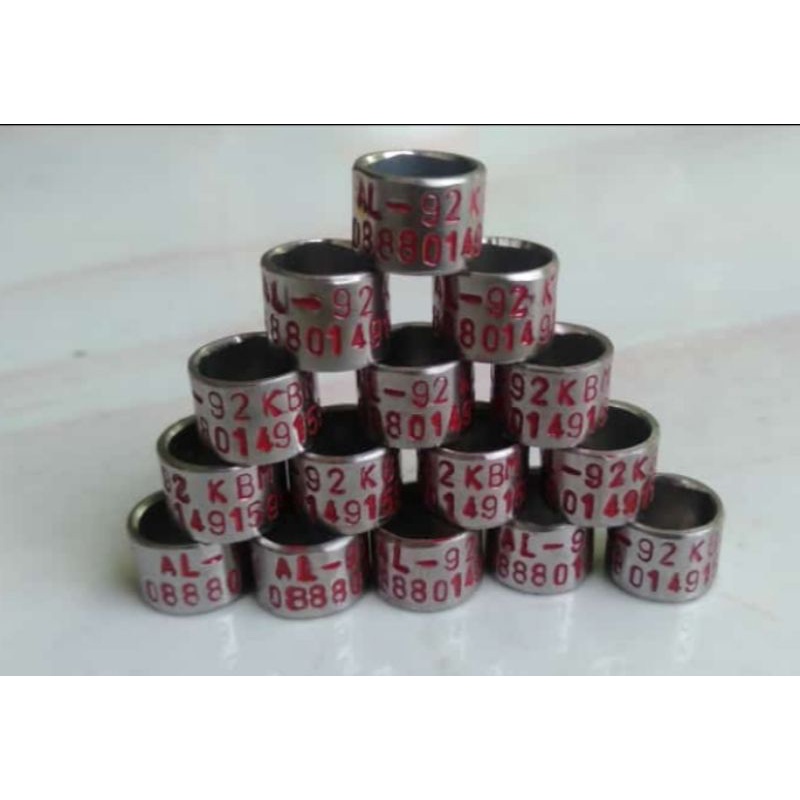 RING BURUNG MERPATI  PUTER PELUNG MODEL BAJA  KETROK
