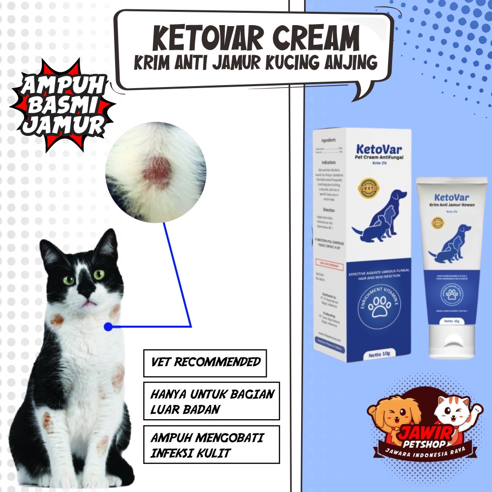 KETOVAR CREAM 10gr obat anti gatal salep jamur untuk kucing anjing anak kitten puppy alergi krim jam