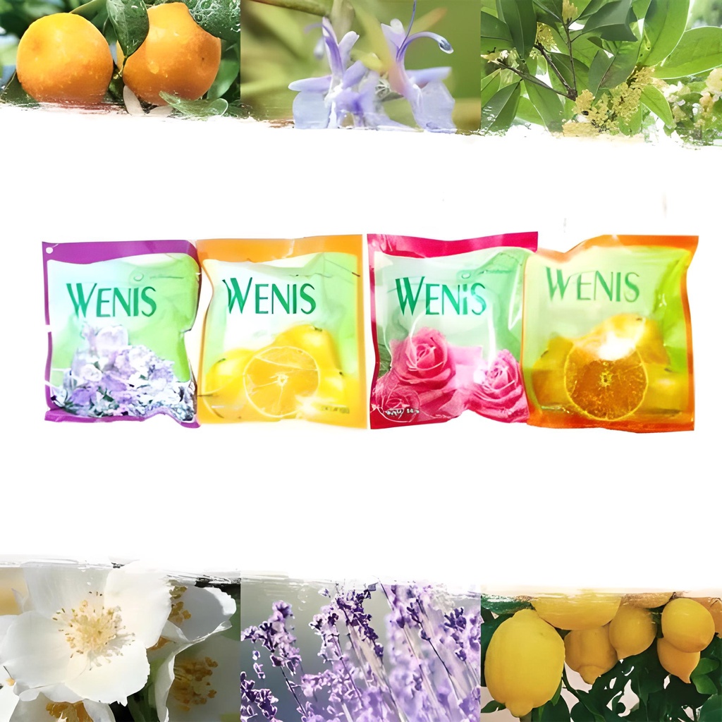 Pengharum Penghilang Bau Ruangan Gantung Air Freshener — 10