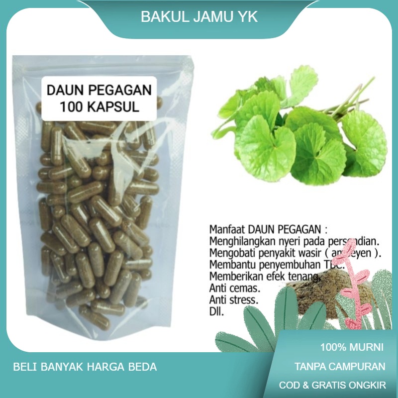

Pegagan isi 100 kapsul untuk wasir nyeri sendi