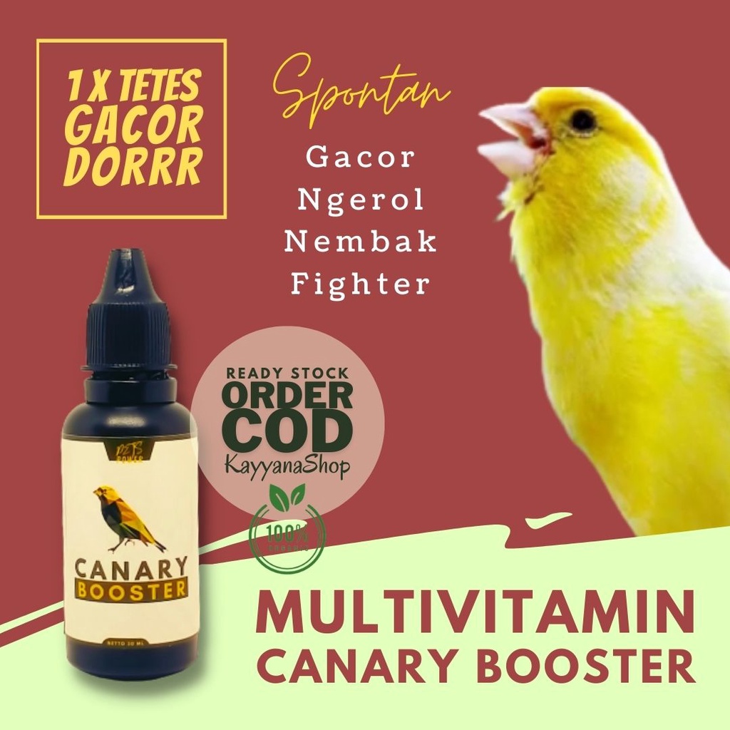 *MBS* Obat Kenari Agar Gacor Vitamin Burung Kenari Super Gacor Vitamin Penggacor Burung Kenari Paud