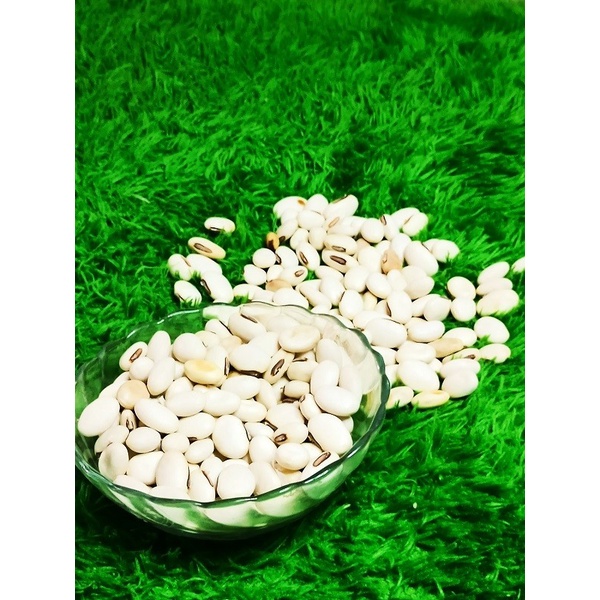 

Biji Kacang koro binong koro pedang 1Kg Organik Benih Nusantara