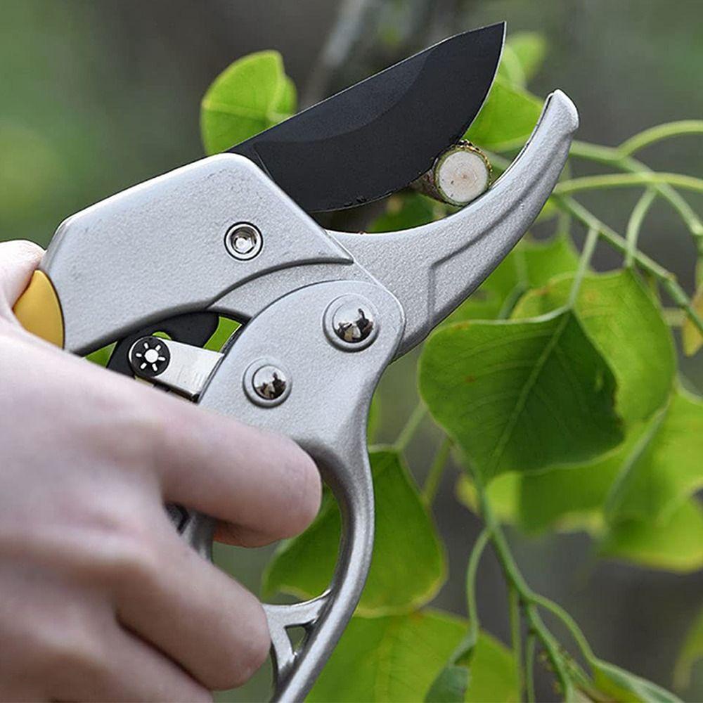 [Elegan] Gunting Pruning Segmen Awet Hemat Tenaga Kerja Berkebun Cepat Pruning Home Pruner Trimmer