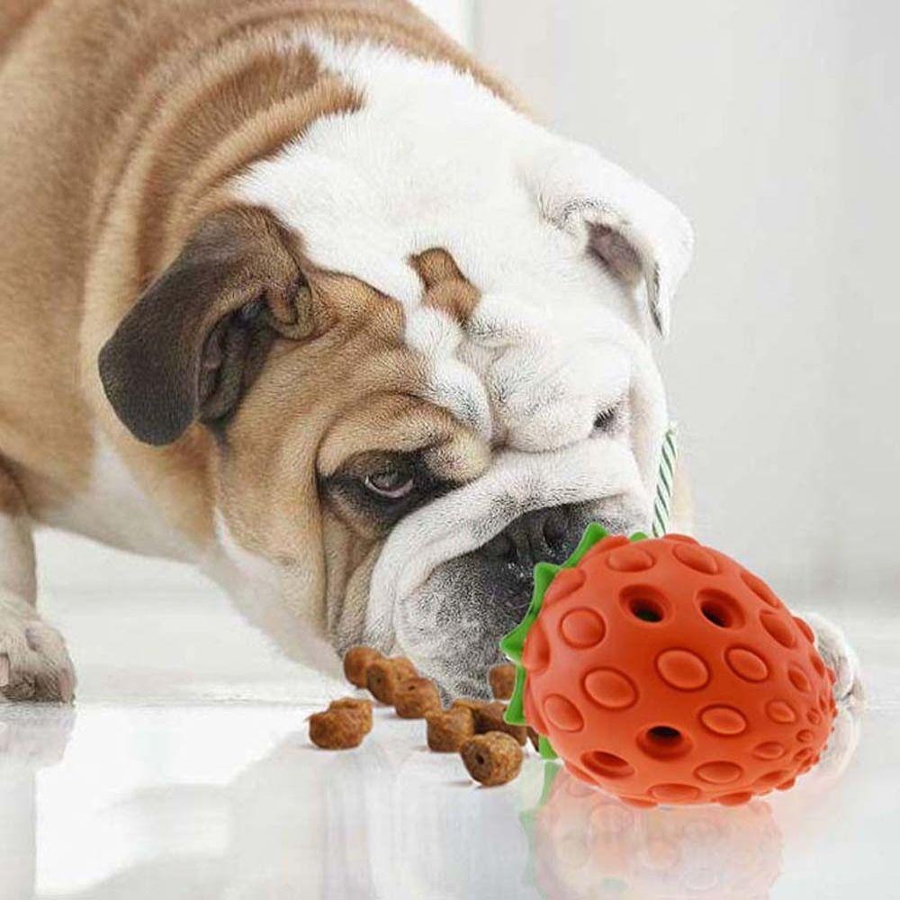 [Elegan] Mainan Bocor Hewan Peliharaan Indestructible Strawberry Fruit Tooth Cleaning Hidden Food Bermain Luar Ruangan Untuk Anjing Kucing Perlengkapan Hewan Peliharaan