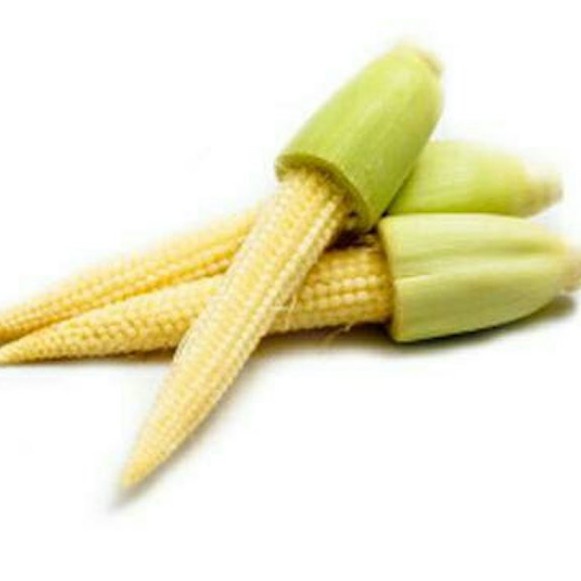 

Jagung Acar Organik 200g/ Putren 200g / Jagung Baby / Organic Baby Corn 200g (CitraFood)