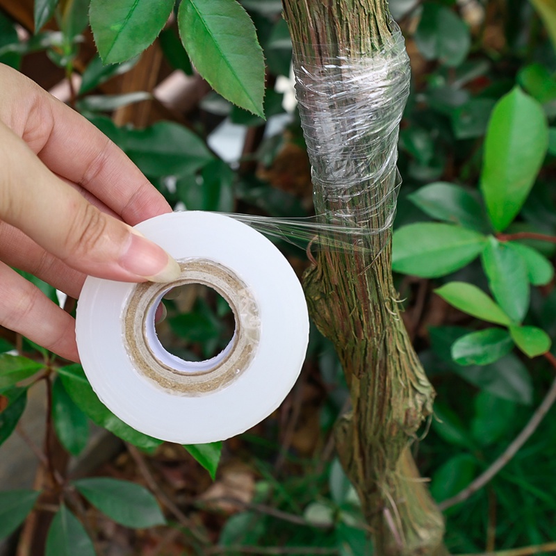 120m /Roll Stretchable Nursery Grafting Tape/ Lebar 3cm Perekat Diri Bibit Tanaman Grafting Film Band