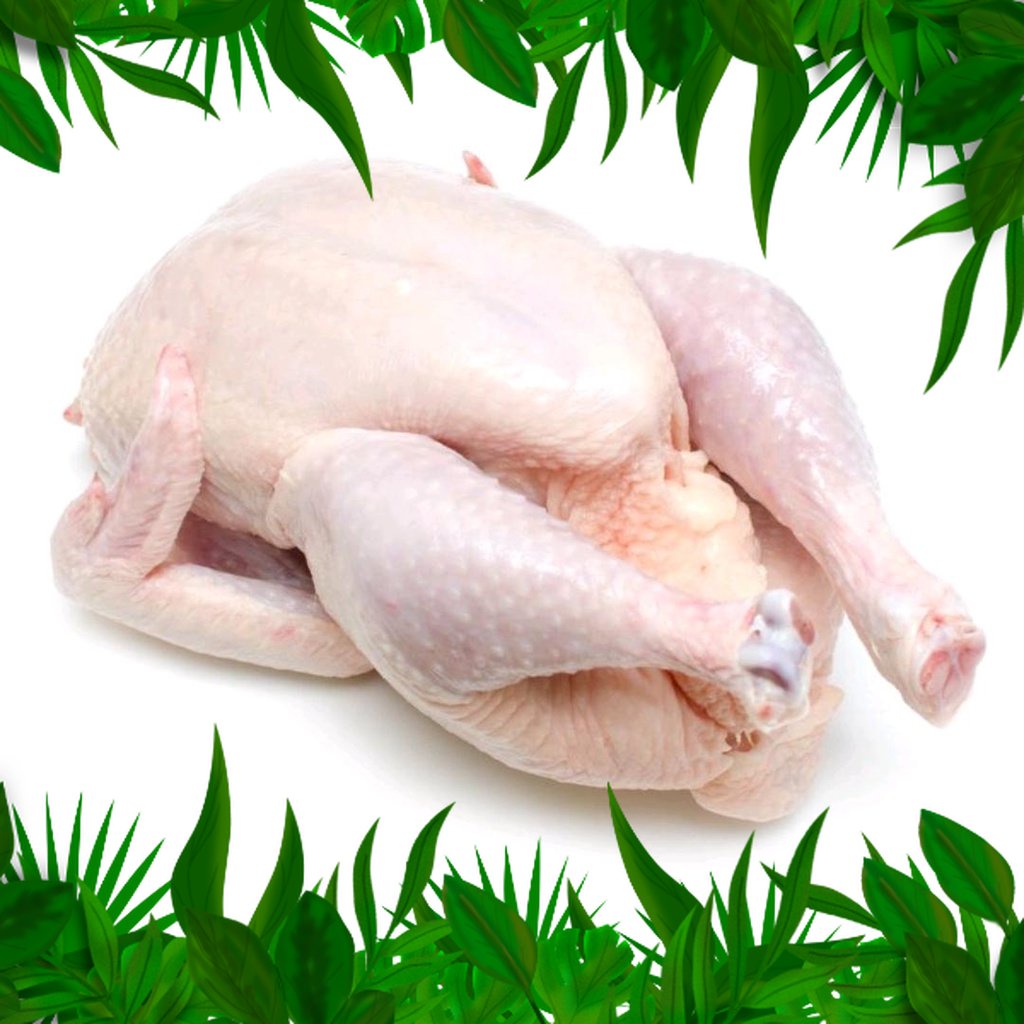 

Sayur Fresh Nuatara - ayam Potong 1,1 sd 1,2kg/ayam potong/ayam murah/ayam daging