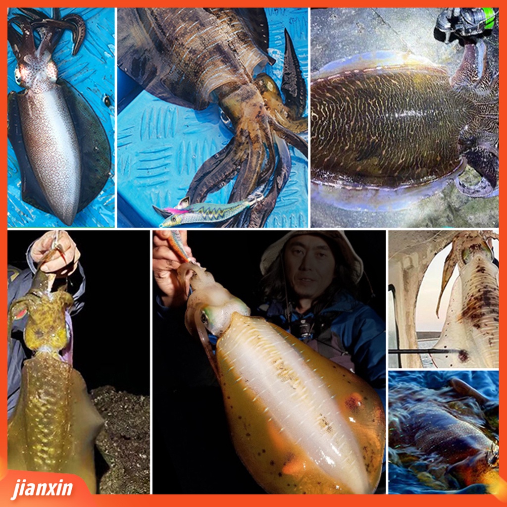 (In Stock) 21g 115mm Umpan Pancing Warna Terang Realistis Cepat Tenggelam Bercahaya Malam Memancing Udang Umpan Untuk Memancing Di Laut