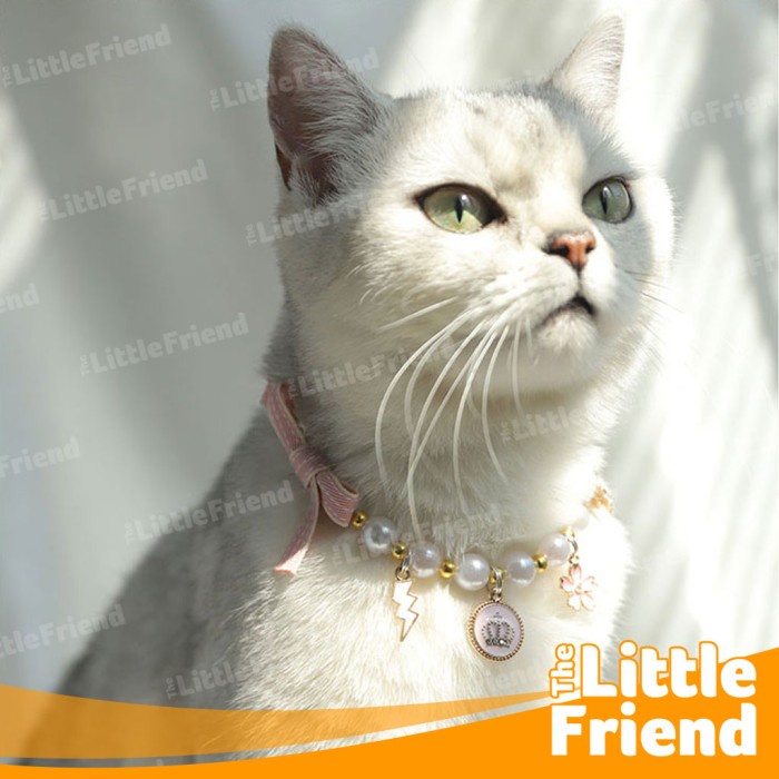 Kalung Aksesoris Leher Anjing Kucing Mutiara Ornament Pearl Jewelry