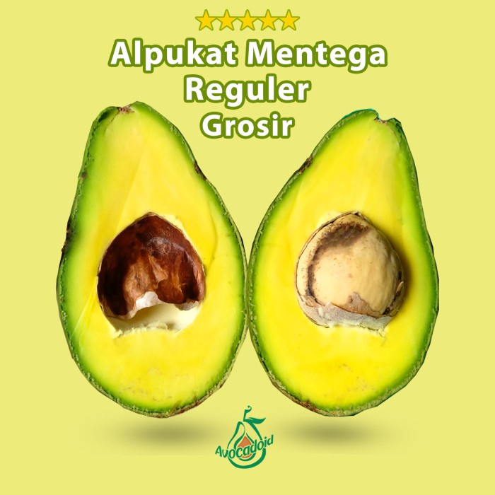 

✨NEW✨ -Alpukat Mentega Reguler Grosir 5KG Avocadoid- 2.2.23